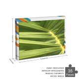 yanfind Picture Puzzle Leaf Terrestrial Plant Vegetation Arecales Saw Palmetto Tree Flower Family Game Intellectual Educational Game Jigsaw Puzzle Toy Set