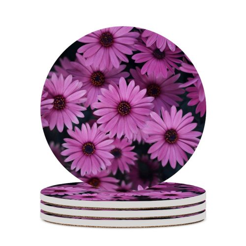 yanfind Ceramic Coasters (round) Yousef Espanioly Flowers Daisies Spring  Bloom Closeup Floral Beautiful Family Game Intellectual Educational Game Jigsaw Puzzle Toy Set