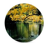 yanfind Ceramic Coasters (round) Ujazdowski Park Warsaw Autumn Fall Natural Landscape Reflection Tree Leaf Bank Family Game Intellectual Educational Game Jigsaw Puzzle Toy Set