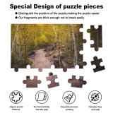 yanfind Picture Puzzle Collins Aspen Trees Pathway Forest Rocks Trails Beautiful Family Game Intellectual Educational Game Jigsaw Puzzle Toy Set
