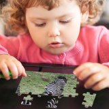 yanfind Picture Puzzle Zebra Terrestrial Wildlife Grass Grazing Grassland Snout Plant Pasture Family Game Intellectual Educational Game Jigsaw Puzzle Toy Set