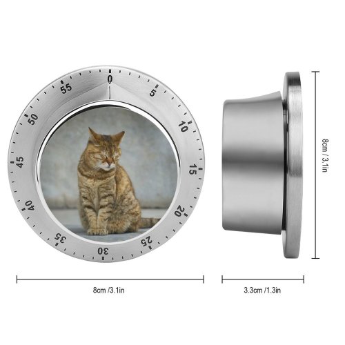 yanfind Timer Lovely Images Pretty Pet Manx Wallpapers Abyssinian Beauty Sweet Tabby Pictures Sleep 60 Minutes Mechanical Visual Timer