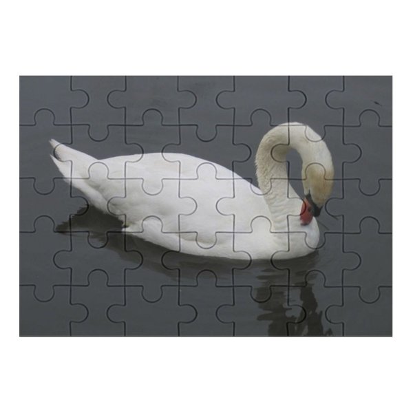 yanfind Picture Puzzle Cleaning Feathers  Pond Park Bird Birds Regal Lake Vertebrate Beak Ducks Family Game Intellectual Educational Game Jigsaw Puzzle Toy Set