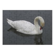 yanfind Picture Puzzle Cleaning Feathers  Pond Park Bird Birds Regal Lake Vertebrate Beak Ducks Family Game Intellectual Educational Game Jigsaw Puzzle Toy Set