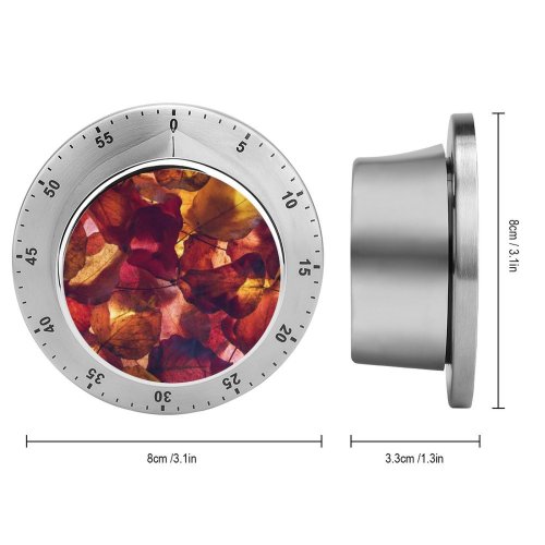 yanfind Timer Tim Mossholder Maple Leaves Autumn Foliage Fallen 60 Minutes Mechanical Visual Timer