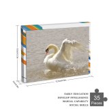 yanfind Picture Puzzle Roath Park  Cardiff Wales Lake Wildlife Outdoors Bird Beak Ducks Geese Family Game Intellectual Educational Game Jigsaw Puzzle Toy Set