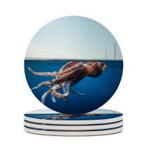 yanfind Ceramic Coasters (round) Social Wildlife Watching Tentacle Species Sailing Travel Adventure Beauty Point Environmental Family Game Intellectual Educational Game Jigsaw Puzzle Toy Set