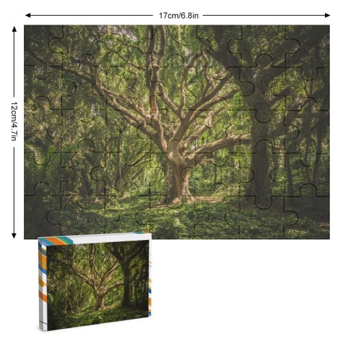 yanfind Picture Puzzle Images Land Flora HQ Landscape Public Wallpapers Fantasy Plant Outdoors Tree Forest Family Game Intellectual Educational Game Jigsaw Puzzle Toy Set
