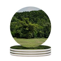 yanfind Ceramic Coasters (round) Fir Images Land Slowenia Grassland Public Grass Wallpapers Plant Meadow Outdoors Tree Family Game Intellectual Educational Game Jigsaw Puzzle Toy Set