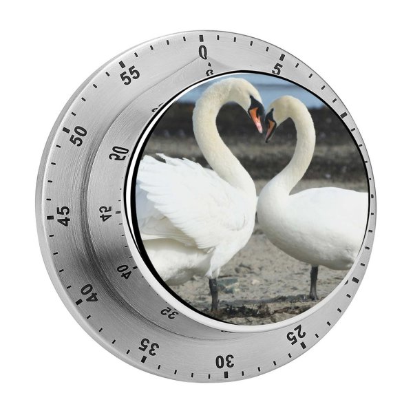 yanfind Timer Swans Birds Love Beach Ireland Bird  Vertebrate Beak Ducks Geese Waterfowl 60 Minutes Mechanical Visual Timer