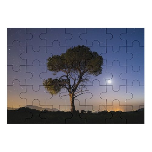 yanfind Picture Puzzle Celebrities Sky Exposure  Tree Non Entertainment Outdoors Valencia Fantasy  Scenery001 Family Game Intellectual Educational Game Jigsaw Puzzle Toy Set