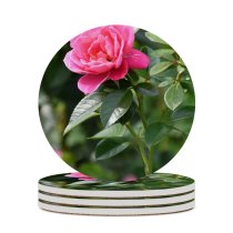 yanfind Ceramic Coasters (round) Poznań Petals Images Rose Floral Flora Petal Peony Flowers Wallpapers Plant Polska Family Game Intellectual Educational Game Jigsaw Puzzle Toy Set