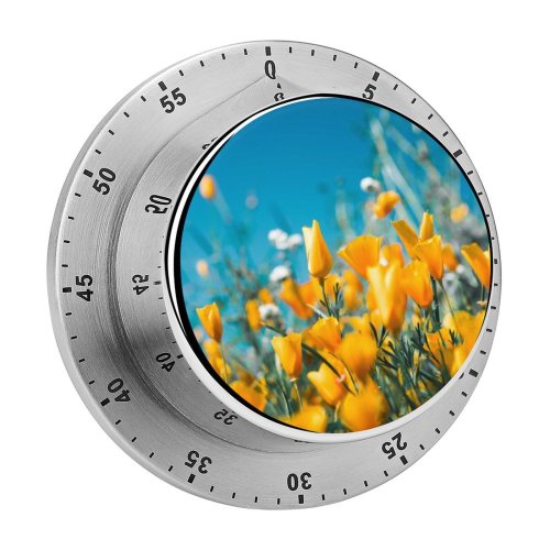 yanfind Timer Images Floral Flora Spring HQ Sky Wallpapers Plant Lake Garden Tulip States 60 Minutes Mechanical Visual Timer