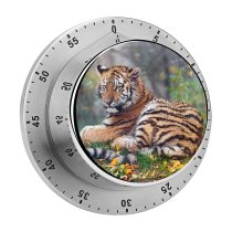 yanfind Timer Tambako Jaguar Young Tigress Autumn Leaves Grass Wild Big Cat  Portrait 60 Minutes Mechanical Visual Timer