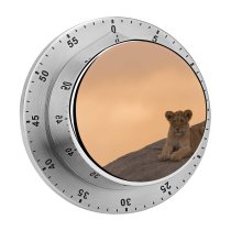 yanfind Timer Sunset Images Lion Wildlife Wallpapers Pictures Public Cub Domain 60 Minutes Mechanical Visual Timer