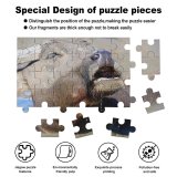 yanfind Picture Puzzle Wild   Zebra Safari Vertebrate Snout Terrestrial Nose Wildlife Mouth Working Family Game Intellectual Educational Game Jigsaw Puzzle Toy Set