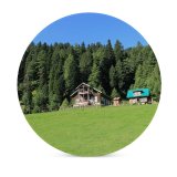 yanfind Ceramic Coasters (round) Fir Images Land Building Grassland Cabin Grass Plant Outdoors Tree Free Abies Family Game Intellectual Educational Game Jigsaw Puzzle Toy Set