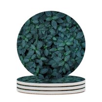 yanfind Ceramic Coasters (round) Aaron Burden Leaves Plants Leaf Closeup Family Game Intellectual Educational Game Jigsaw Puzzle Toy Set