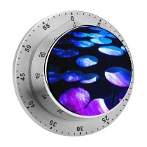 yanfind Timer William Warby Abstract Dark Stands Purple 60 Minutes Mechanical Visual Timer