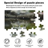 yanfind Picture Puzzle Cdwaldi Kitazume Rock  Pond still Capture Macro Resources Drop Reflection Liquid Family Game Intellectual Educational Game Jigsaw Puzzle Toy Set