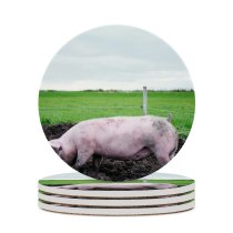 yanfind Ceramic Coasters (round) Images Pig Breakfast Bed Wallpapers  Outdoors Free Oudega Pictures Boar Hog Family Game Intellectual Educational Game Jigsaw Puzzle Toy Set