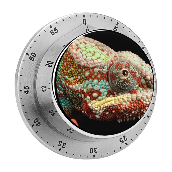 yanfind Timer Black Dark Chameleon Lizard Multicolor Closeup Macro AMOLED HDR 60 Minutes Mechanical Visual Timer