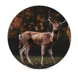 yanfind Ceramic Coasters (round) Fallow Deer Squirrel Bird Trees Forest Autumn Family Game Intellectual Educational Game Jigsaw Puzzle Toy Set