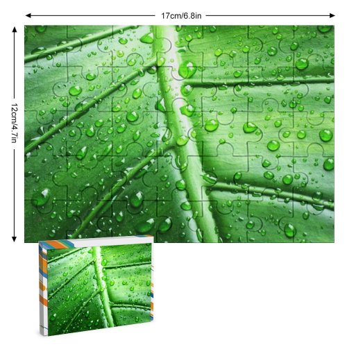 yanfind Picture Puzzle Leaf Texture Dew Moisture Drop Plant Terrestrial Macro Family Game Intellectual Educational Game Jigsaw Puzzle Toy Set