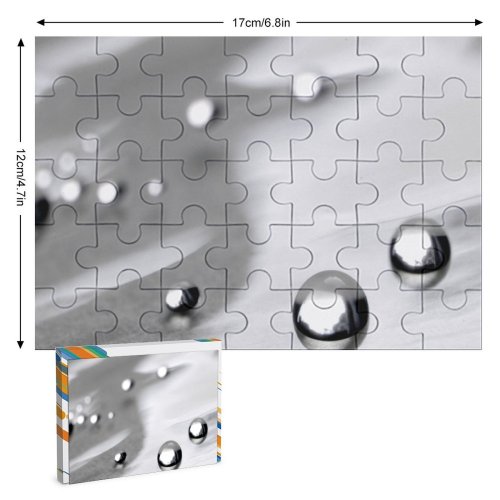yanfind Picture Puzzle Colour Silver Grey Drops Macro Ball Reflection still  Playing with Light Family Game Intellectual Educational Game Jigsaw Puzzle Toy Set