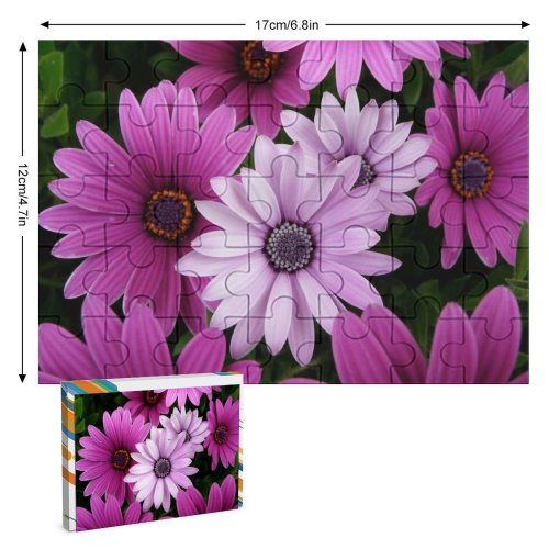 yanfind Picture Puzzle Daisy Flowers Purple Garden Closeup Bloom Family Game Intellectual Educational Game Jigsaw Puzzle Toy Set