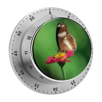 yanfind Timer Petals Images Pretty Insect Spring Wing Public Underside Wildlife Wallpapers Plant Pollen 60 Minutes Mechanical Visual Timer
