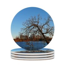 yanfind Ceramic Coasters (round) Tree Park Sky Grass Trees Bushes Autumn Fall Leafless Fz Evening Sunset Family Game Intellectual Educational Game Jigsaw Puzzle Toy Set