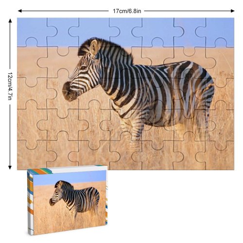 yanfind Picture Puzzle Zebra Sunrise Wildlife Early Vertebrate Terrestrial Grassland Natural Savanna Ecoregion Quagga Family Game Intellectual Educational Game Jigsaw Puzzle Toy Set