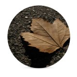 yanfind Ceramic Coasters (round) Tree Leaf Park Monjuic Sky Backlight Clear Clean Plant Maple Deciduous Soil Family Game Intellectual Educational Game Jigsaw Puzzle Toy Set