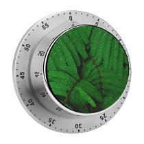 yanfind Timer Luca Bravo Plant Leaves Branches  Droplets Dew Drops 60 Minutes Mechanical Visual Timer