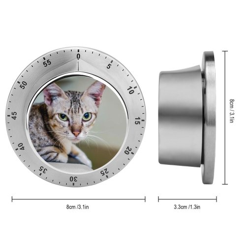 yanfind Timer Lovely Images Pet Manx Public Wallpapers Abyssinian Phnom Cambodia Pictures Chair Room 60 Minutes Mechanical Visual Timer
