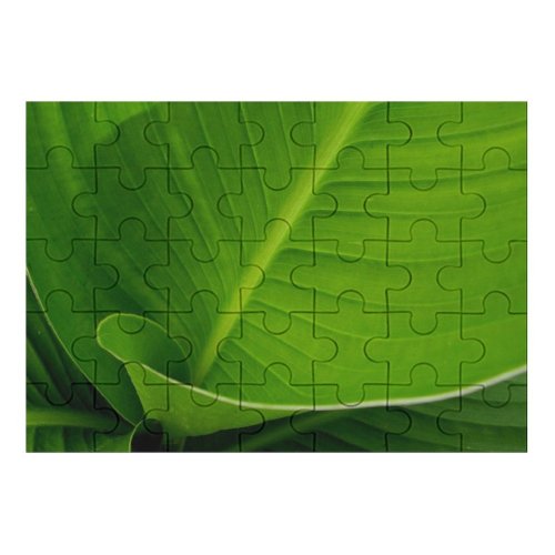yanfind Picture Puzzle Leaf Blade Flower Banana Plant Terrestrial Botany Ensete Flowering  Lily Family Game Intellectual Educational Game Jigsaw Puzzle Toy Set