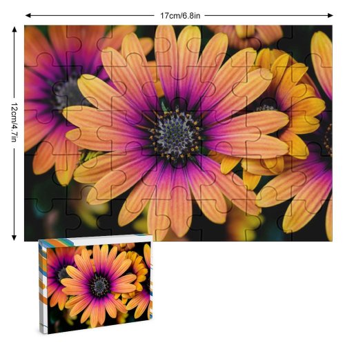 yanfind Picture Puzzle Daisy Flowers Colorful Closeup Macro Flower Heads  Spring Garden Floral 5K Family Game Intellectual Educational Game Jigsaw Puzzle Toy Set