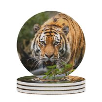 yanfind Ceramic Coasters (round) Bengal  Big Cat  Wild Family Game Intellectual Educational Game Jigsaw Puzzle Toy Set