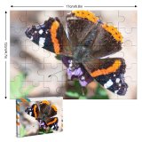 yanfind Picture Puzzle Arthropod Outdoors Antenna Lepidoptera Beauty Foraging Feeding Springtime Nymphalidae Butterfly Admiral Natural Family Game Intellectual Educational Game Jigsaw Puzzle Toy Set