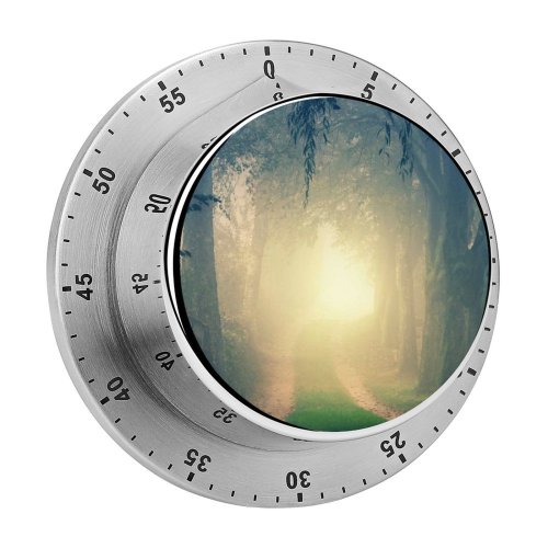 yanfind Timer Johannes Plenio Forest Path Foggy Morning Light Fall Mist 60 Minutes Mechanical Visual Timer