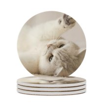yanfind Ceramic Coasters (round) Cute Kitten Kitty Cat Family Game Intellectual Educational Game Jigsaw Puzzle Toy Set