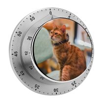 yanfind Timer Lovely Images Wuhan Decor China Plant Abyssinian Pictures Pet Home Manx Free 60 Minutes Mechanical Visual Timer