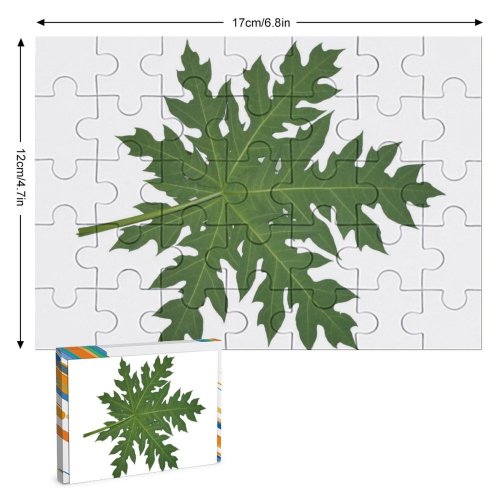 yanfind Picture Puzzle Leaf Structure Design Patter Texture Plant Flower Plane Tree Flowering Maple Silver Family Game Intellectual Educational Game Jigsaw Puzzle Toy Set