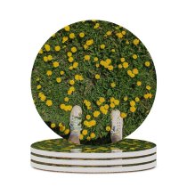 yanfind Ceramic Coasters (round) Images Pottery Potted Grassland Public Shoe Jar Grass Vase Plant Outdoors Footwear Family Game Intellectual Educational Game Jigsaw Puzzle Toy Set