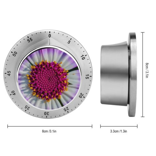 yanfind Timer Carsten Heyer Flowers Purple Flower Macro Closeup Petals  Bloom Spring Pericallis 60 Minutes Mechanical Visual Timer