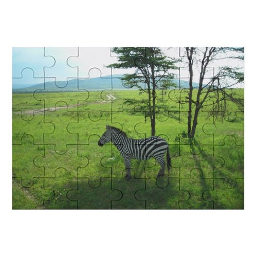 yanfind Picture Puzzle Zebra Wild Forest Masai Mara Kenya Africa Safari Grassland Wildlife Pasture Vegetation Family Game Intellectual Educational Game Jigsaw Puzzle Toy Set