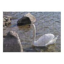 yanfind Picture Puzzle  Labut Zohor Slovakia Priehrada Lake Bird Ducks Geese Swans Waterfowl Beak Family Game Intellectual Educational Game Jigsaw Puzzle Toy Set