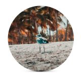 yanfind Ceramic Coasters (round) Ground Images Christmas Wallpapers Friends Plant Beach Tropical Tree Stock Free Palm Family Game Intellectual Educational Game Jigsaw Puzzle Toy Set