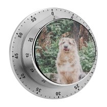 yanfind Timer Lovely Images Pet Wallpapers Plant Outdoors Pictures Creative Grey Dog Commons 60 Minutes Mechanical Visual Timer